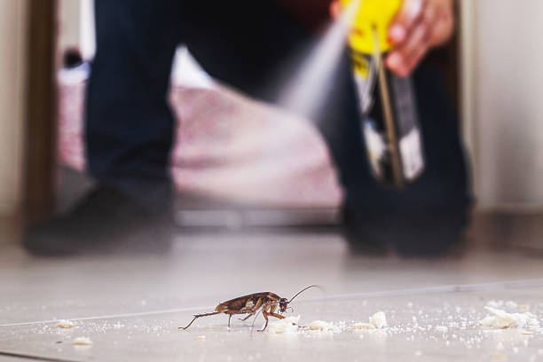 Best Local Pest Control Services  in Greenfield, TN