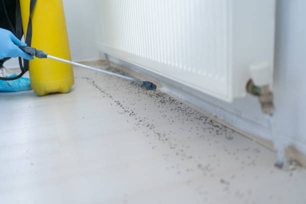Best Residential Pest Control  in Greenfield, TN
