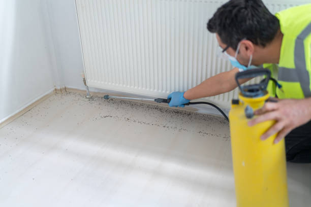 Best Bed Bug Extermination  in Greenfield, TN