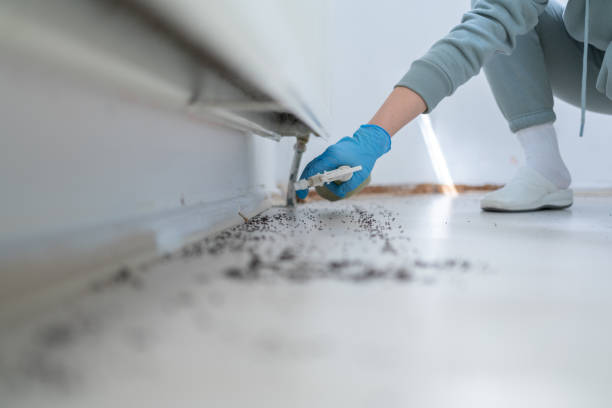 Best Pest Prevention Services  in Greenfield, TN