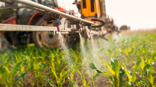 Best Mosquito Control Services  in Greenfield, TN